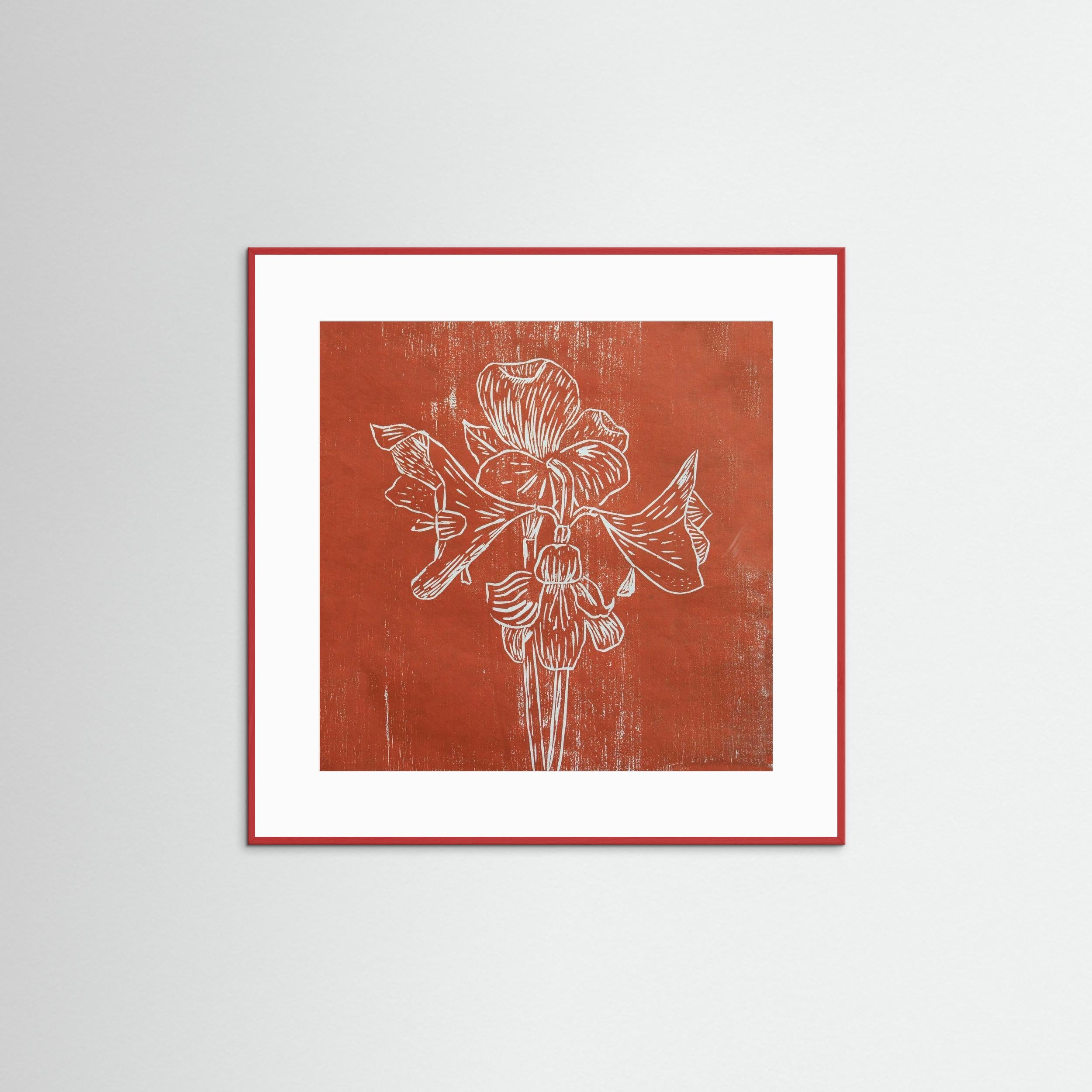 Fine Art Paper Print: "Red Amaryllis"