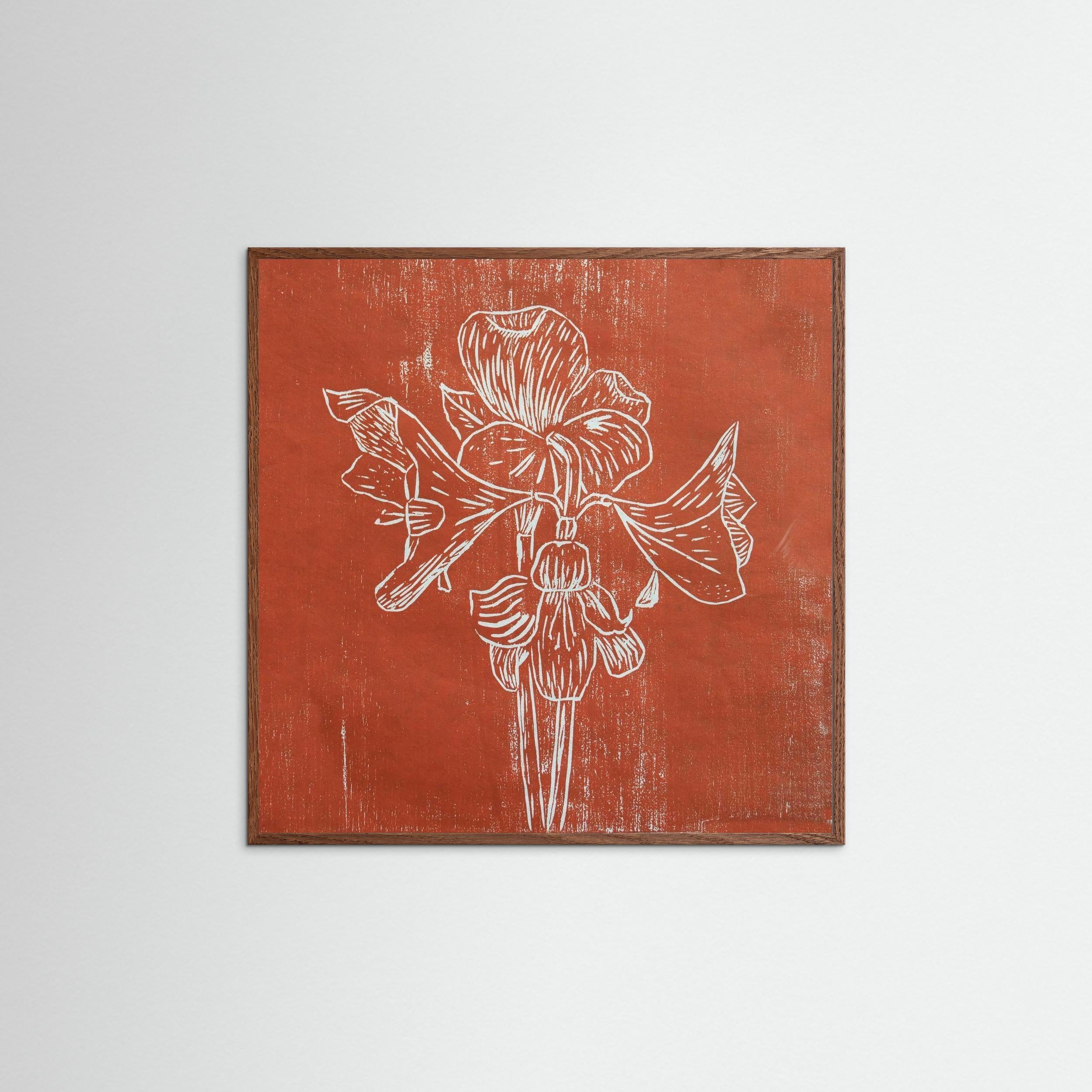 Fine Art Paper Print: "Red Amaryllis"