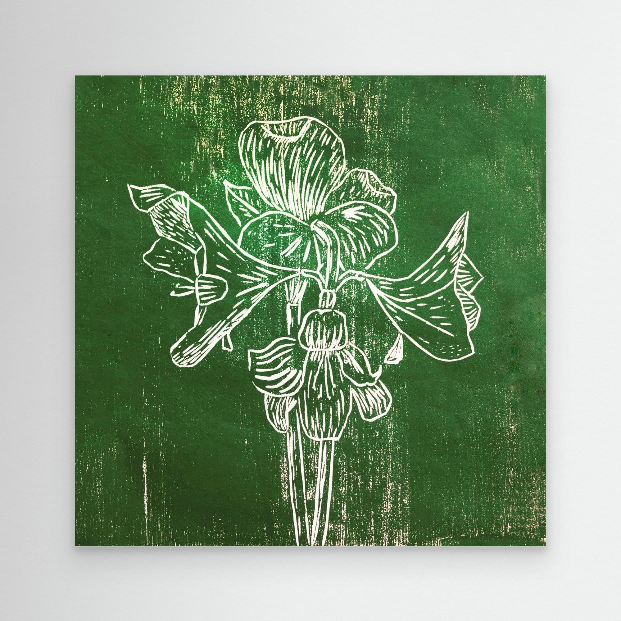 Canvas Print: "Green Amaryllis"