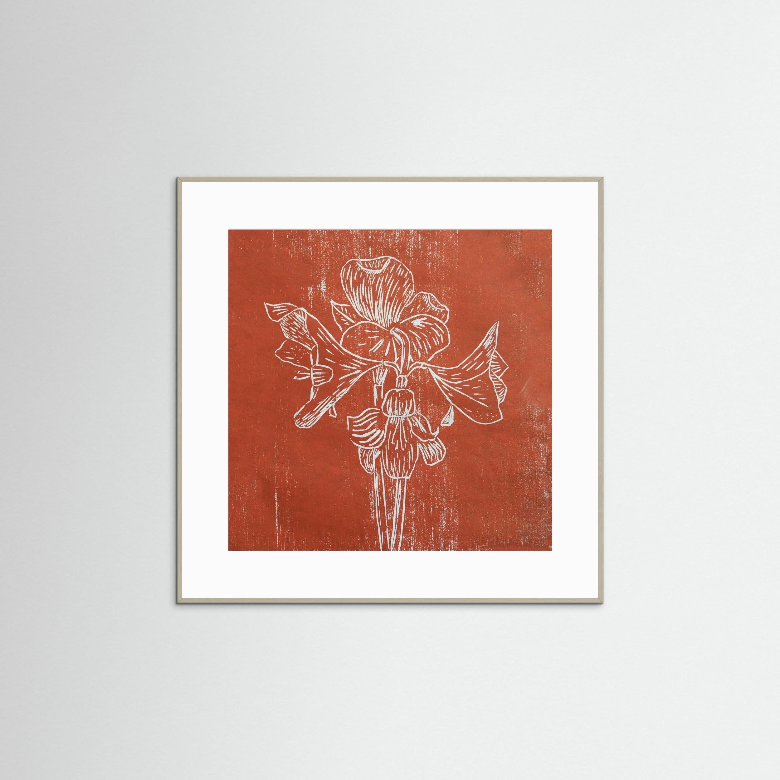 Fine Art Paper Print: "Red Amaryllis"