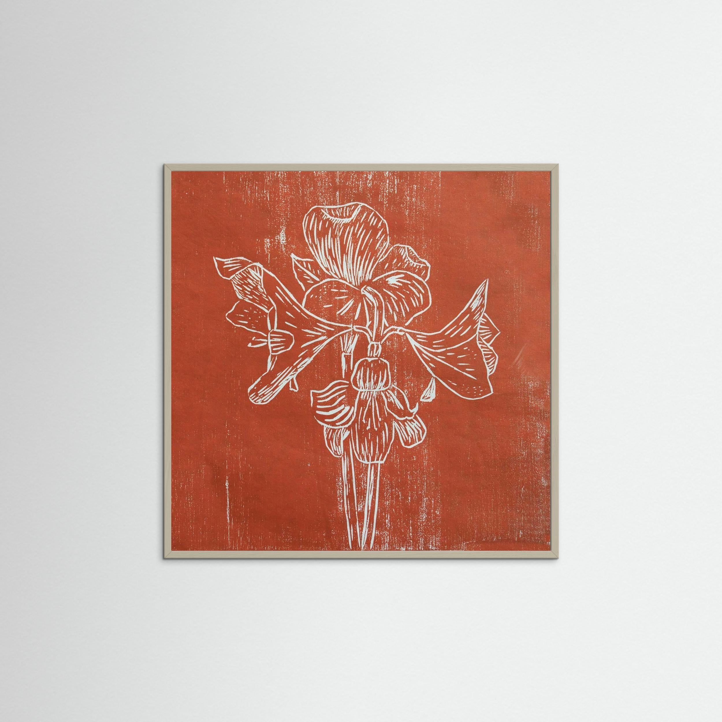 Fine Art Paper Print: "Red Amaryllis"