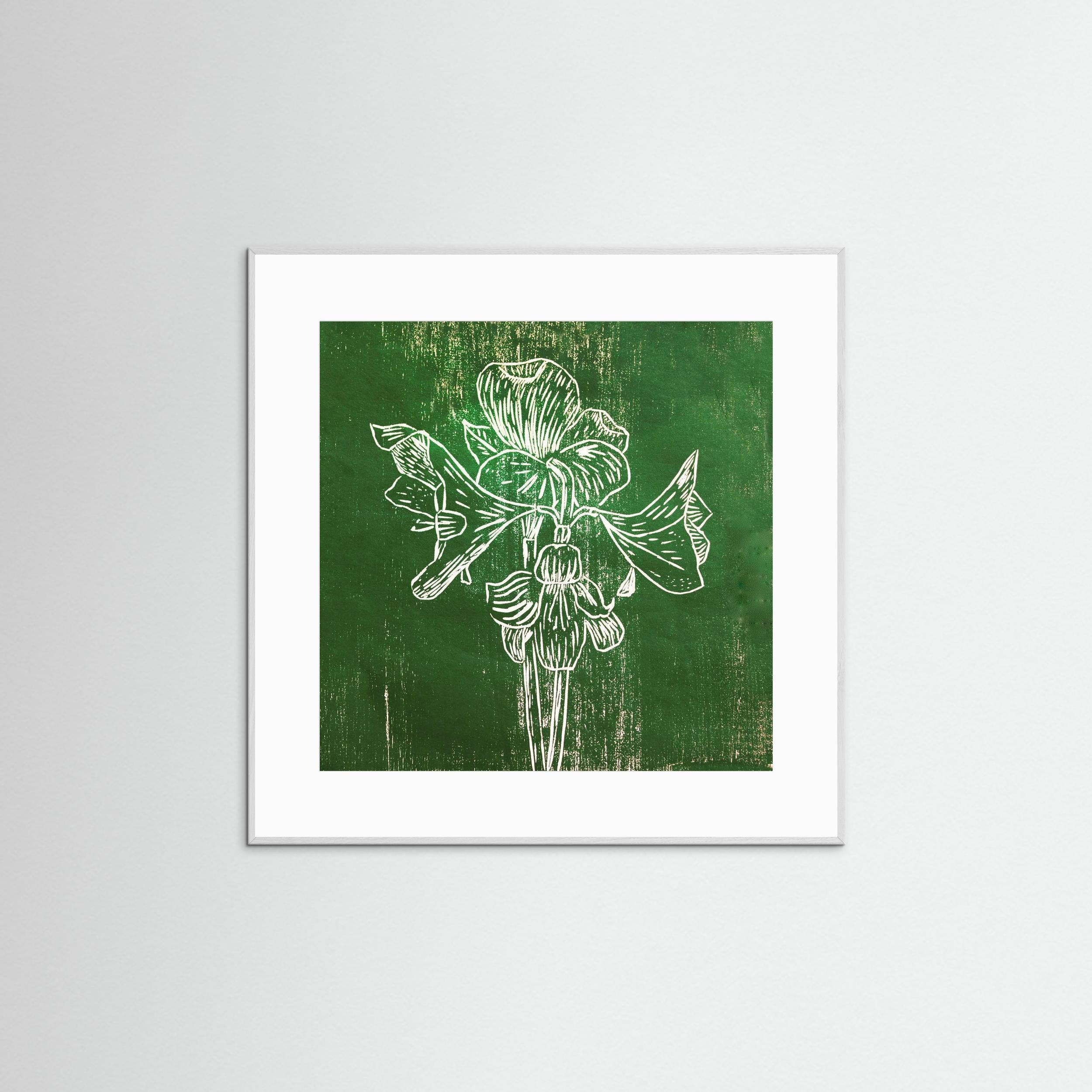 Fine Art Paper Print: "Green Amaryllis"