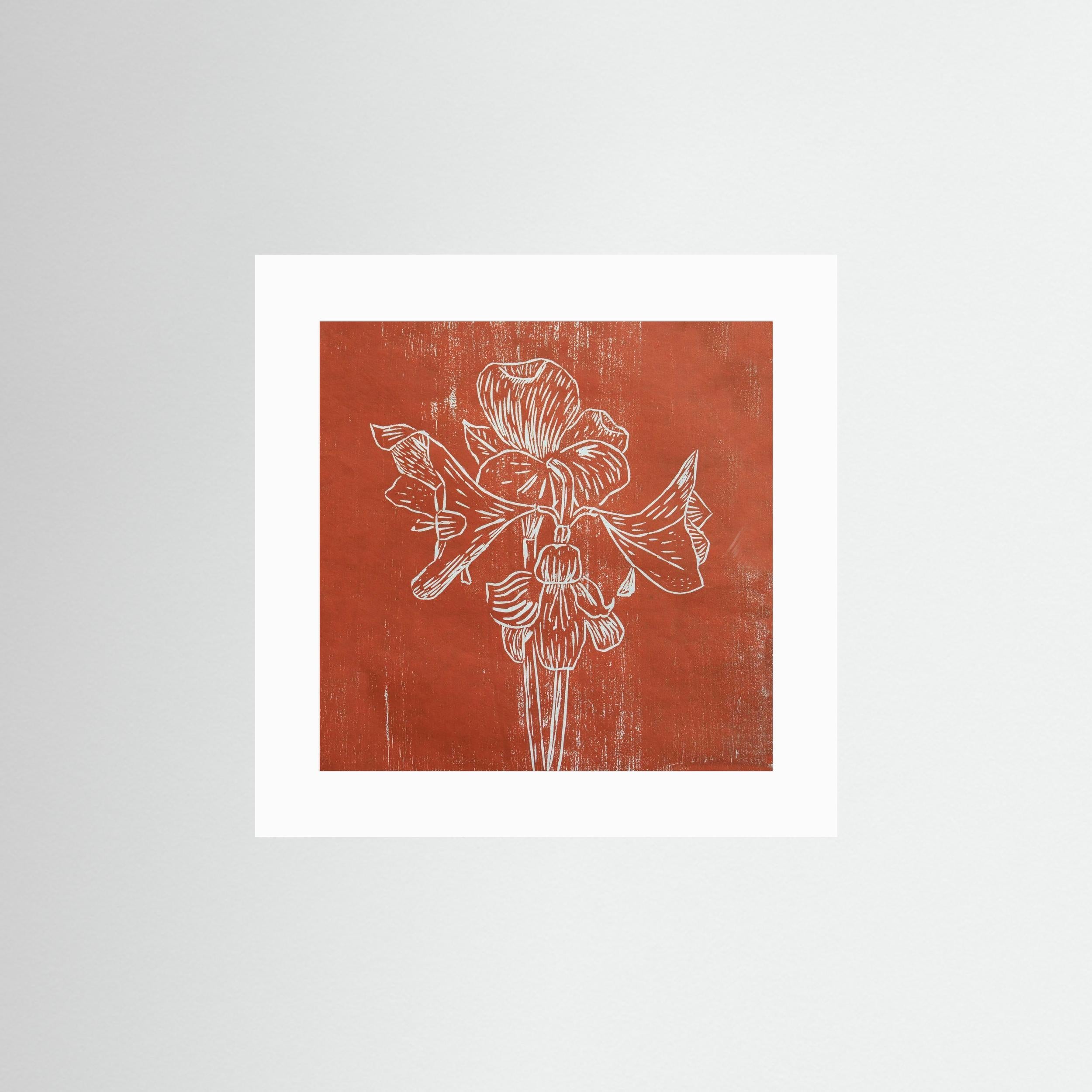 Fine Art Paper Print: "Red Amaryllis"