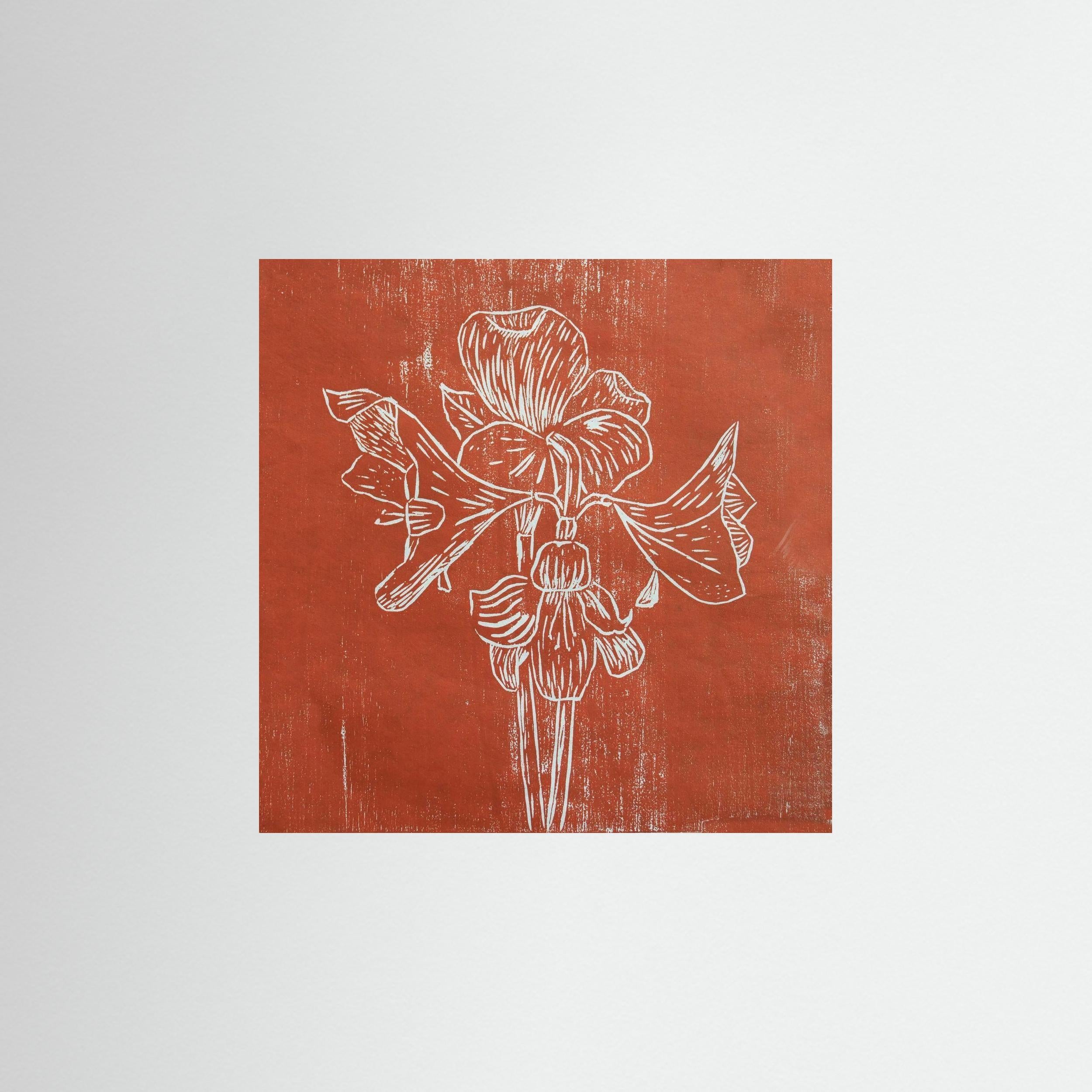 Fine Art Paper Print: "Red Amaryllis"
