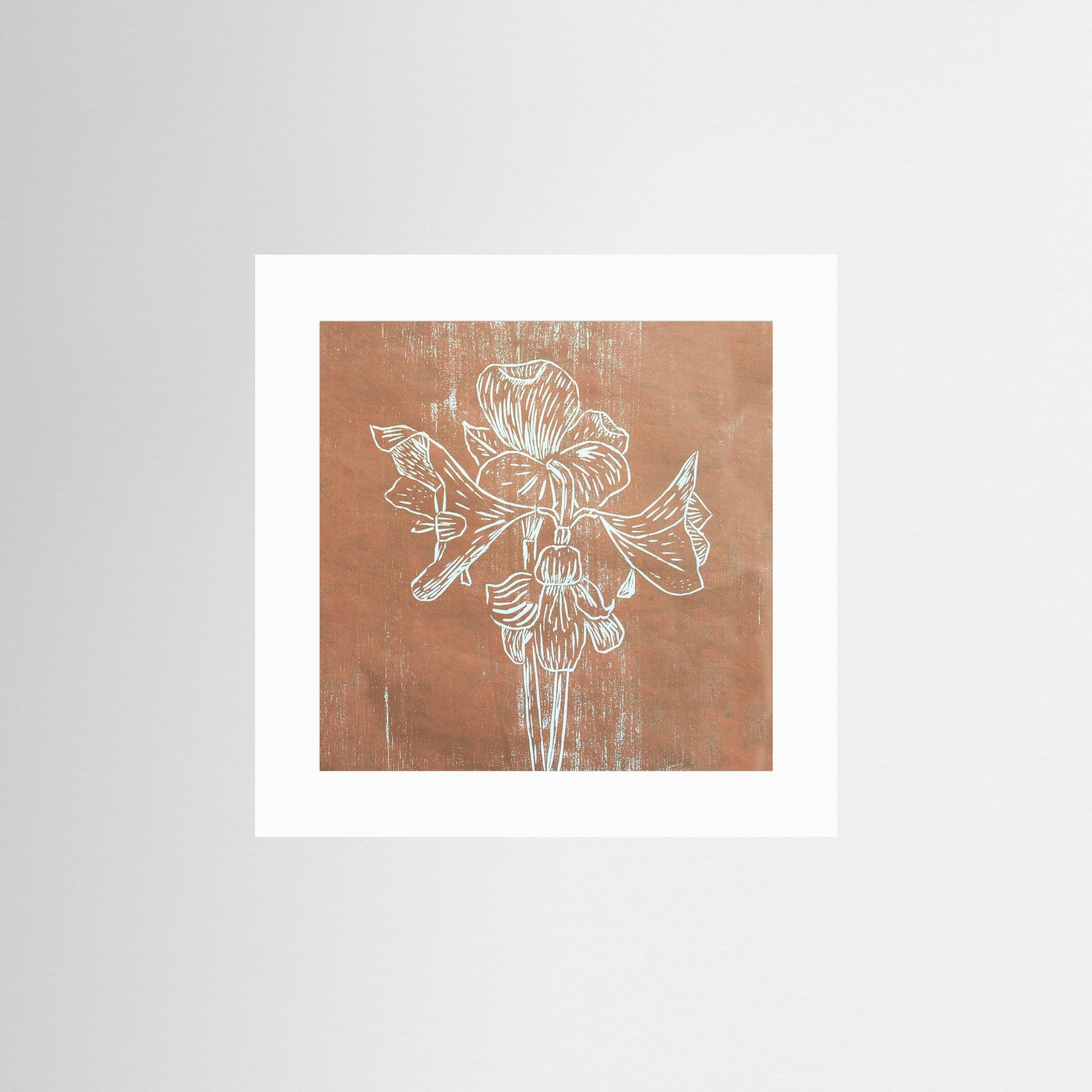 Fine Art Papaer Print: "Brown Amaryllis"