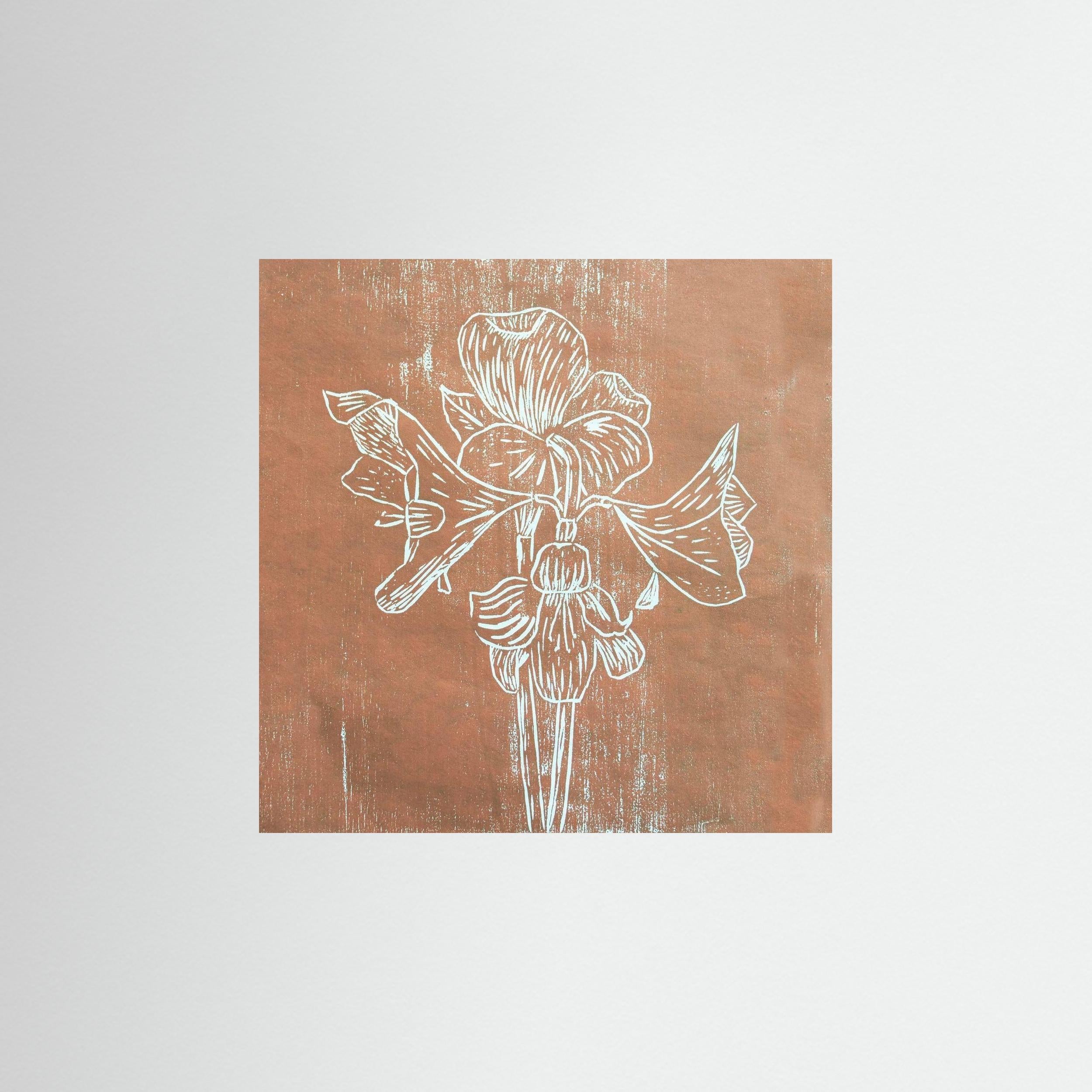 Fine Art Papaer Print: "Brown Amaryllis"