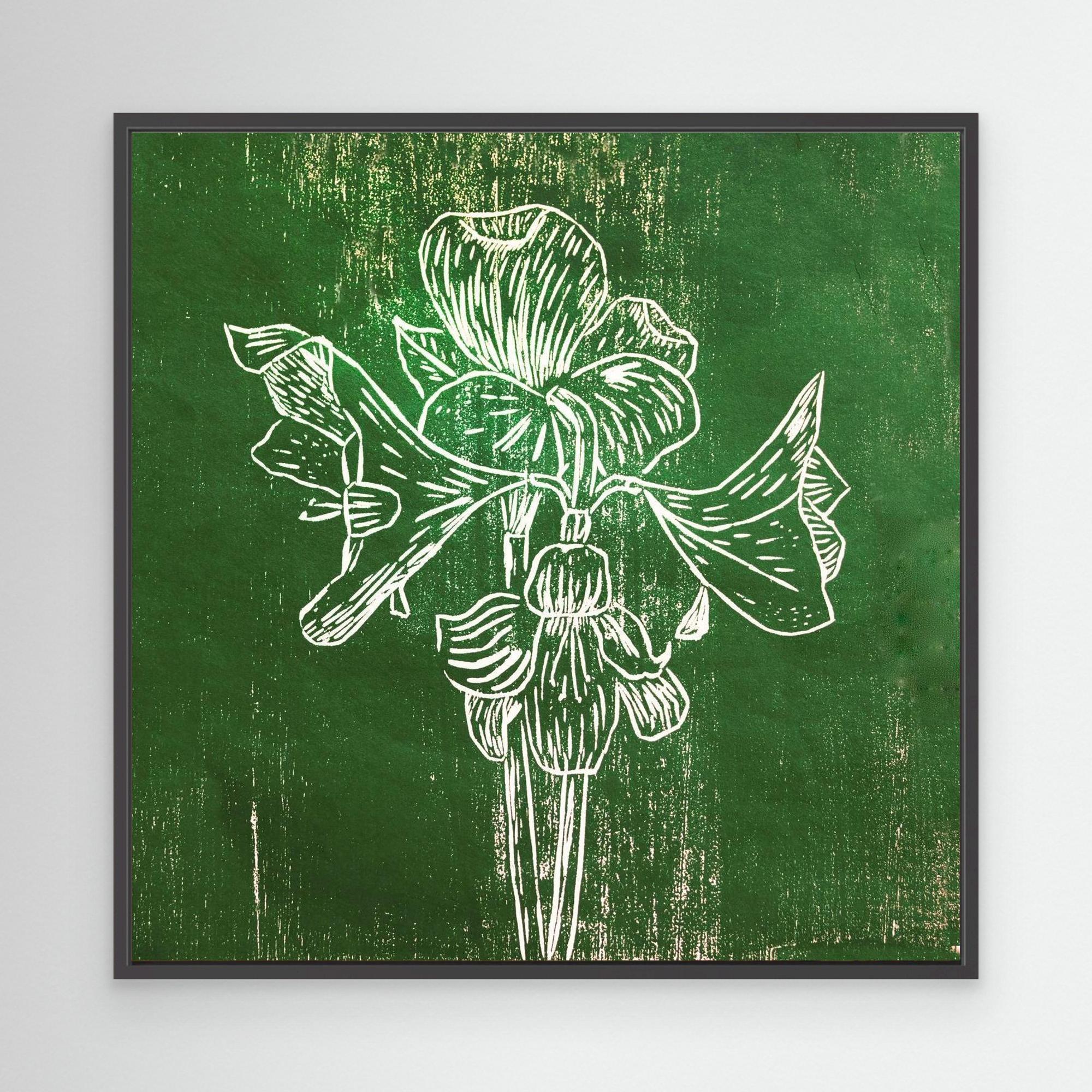 Canvas Print: "Green Amaryllis"