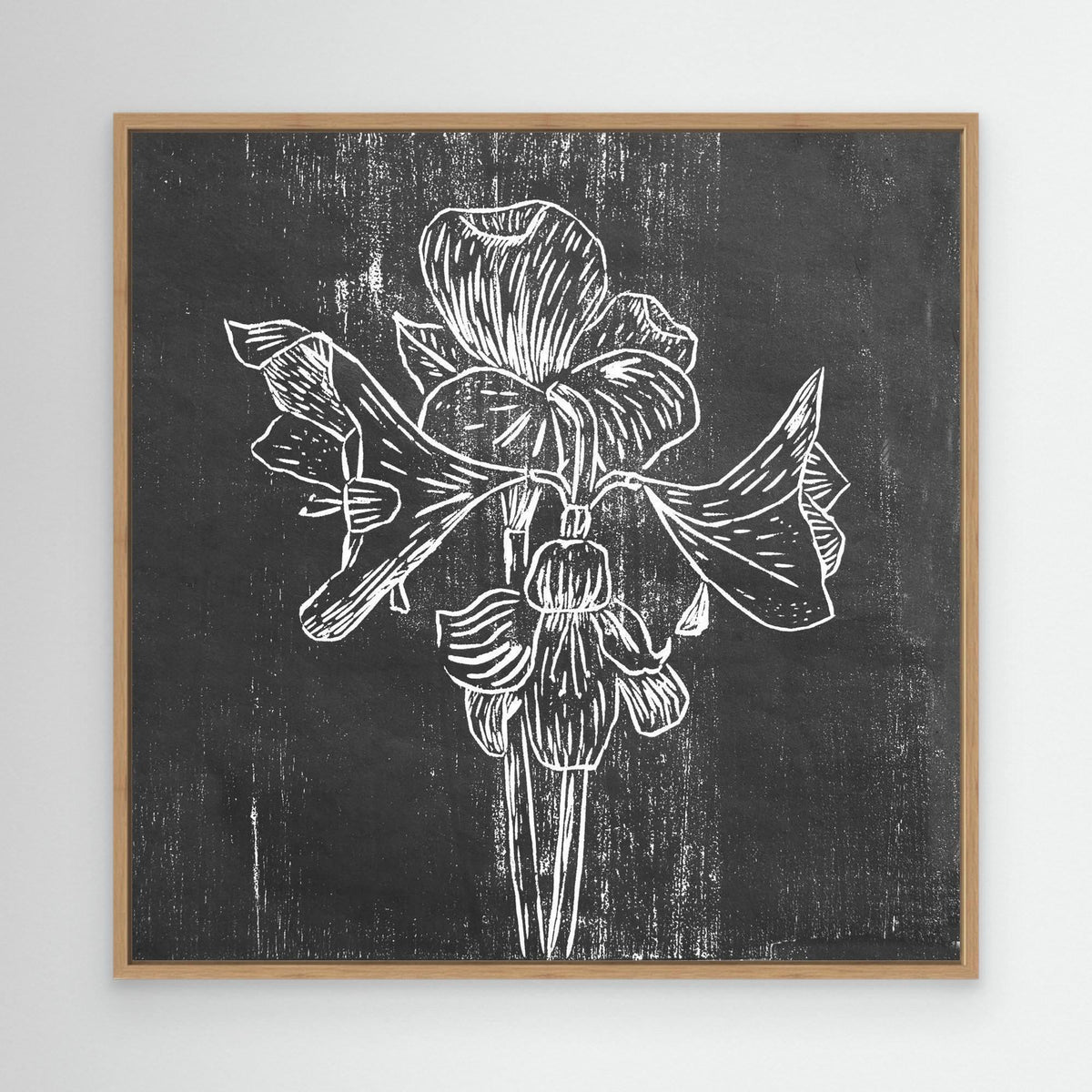 Canvas Print: "Black Amaryllis"