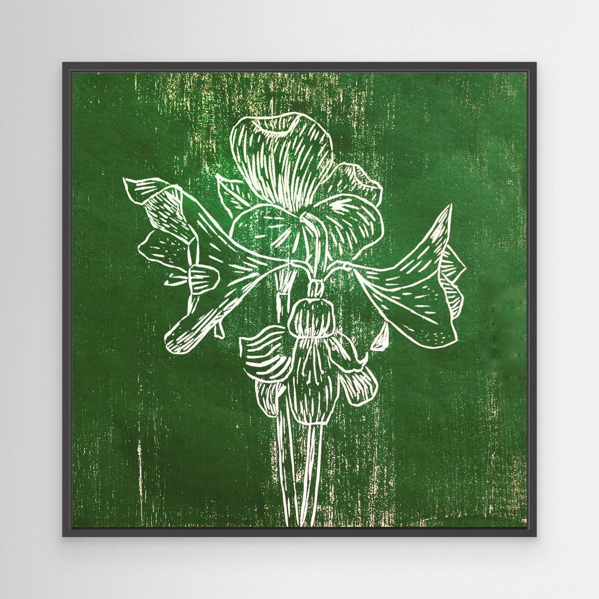 Canvas Print: "Green Amaryllis"