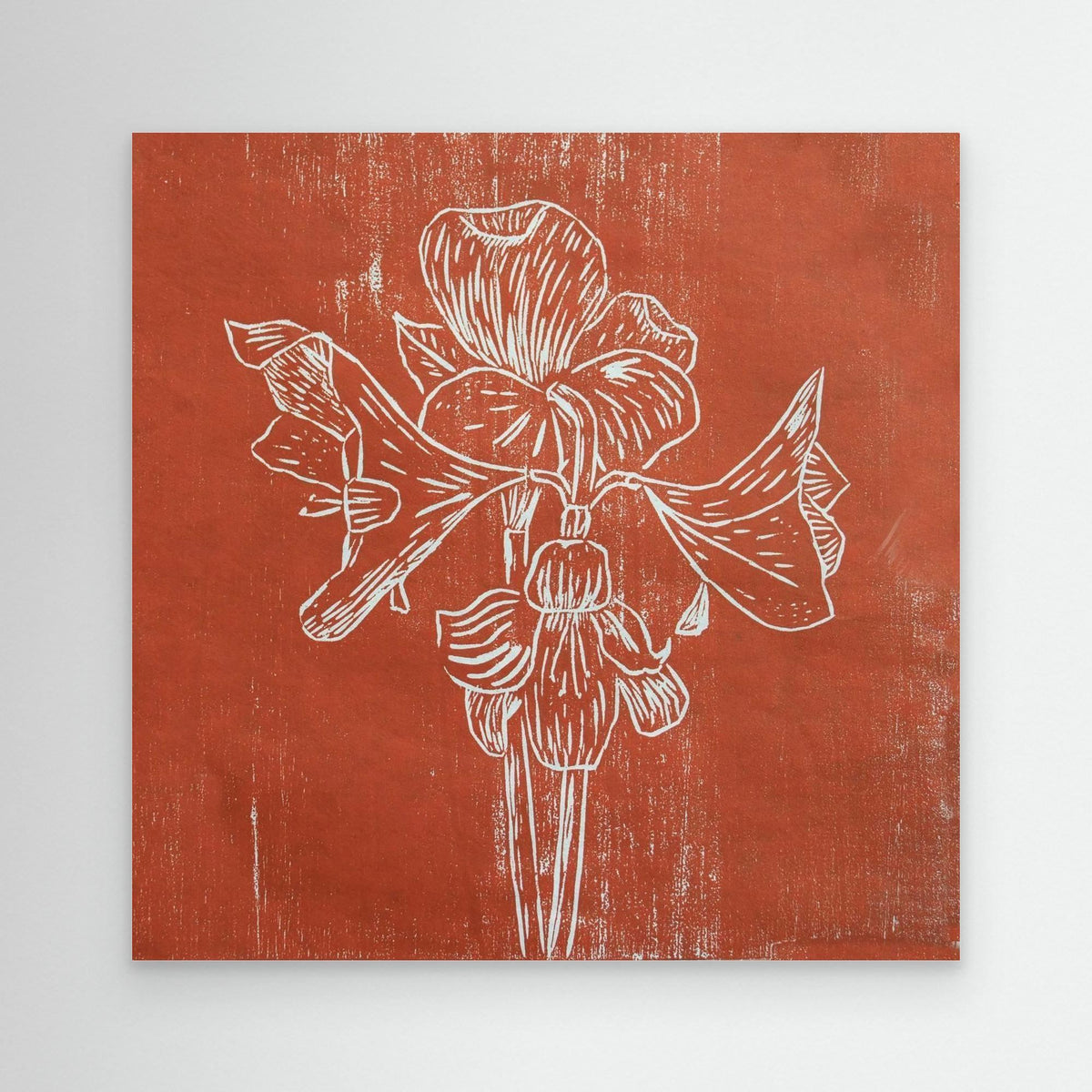Canvas Print: " Red Amaryllis"
