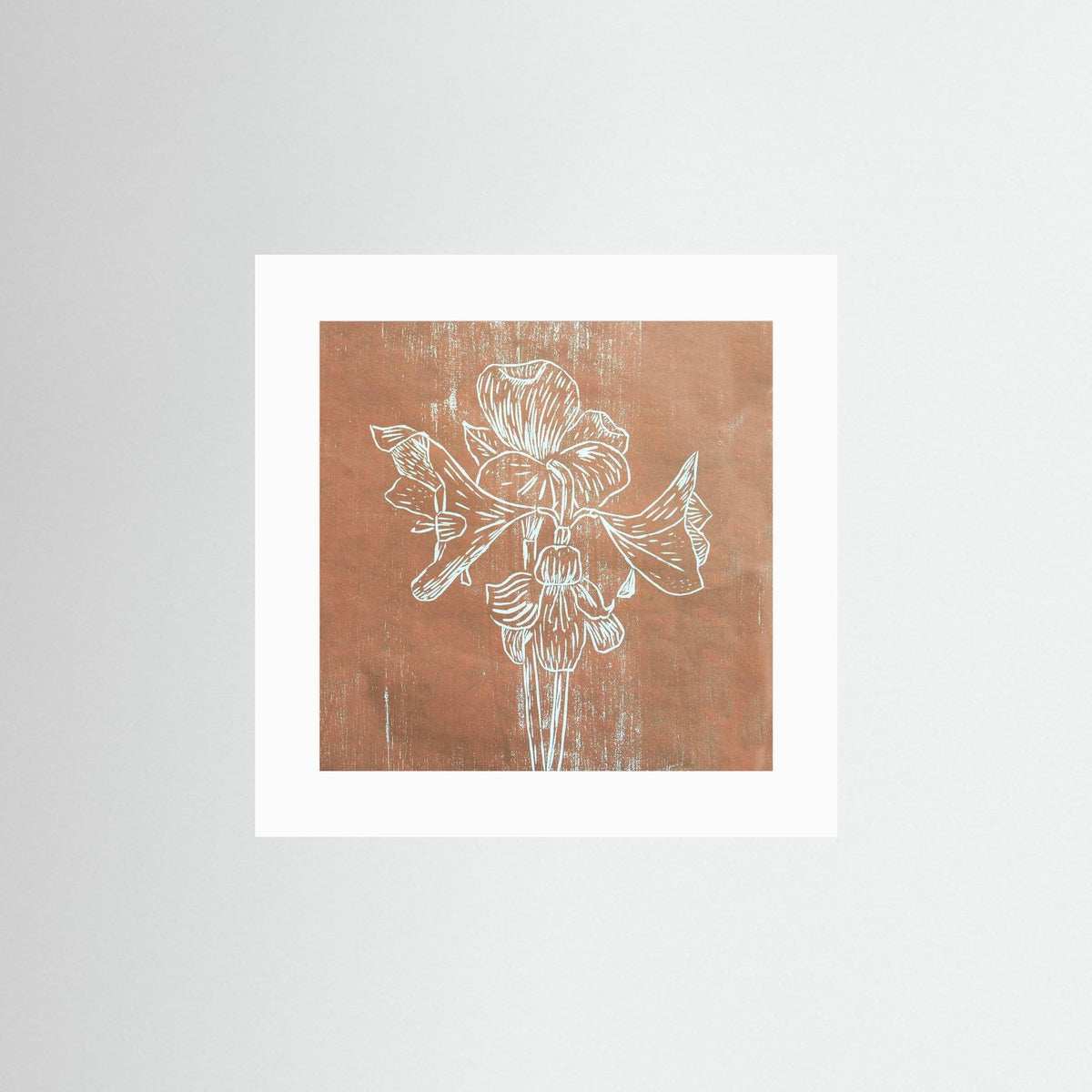 Fine Art Papaer Print: "Brown Amaryllis"