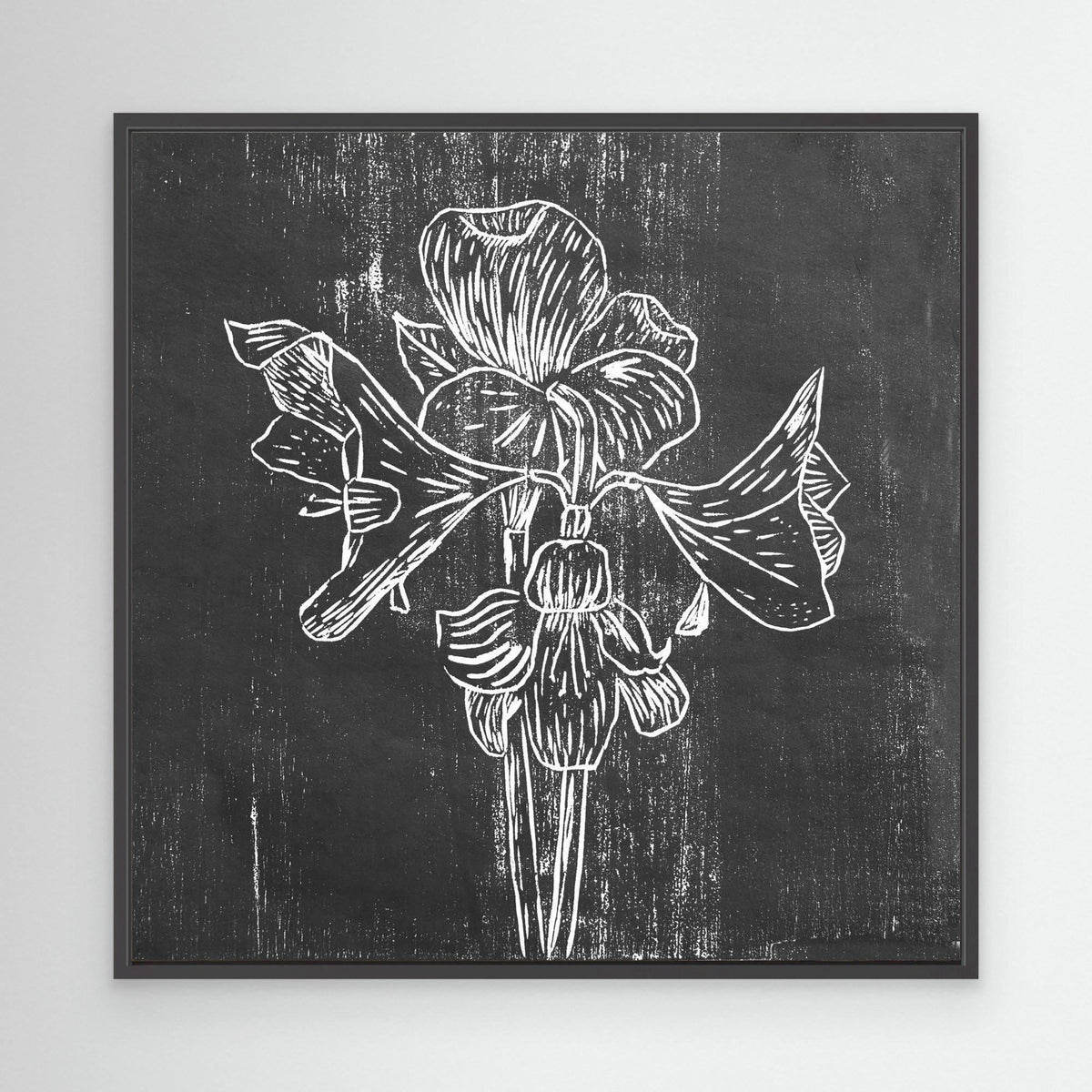 Canvas Print: "Black Amaryllis"
