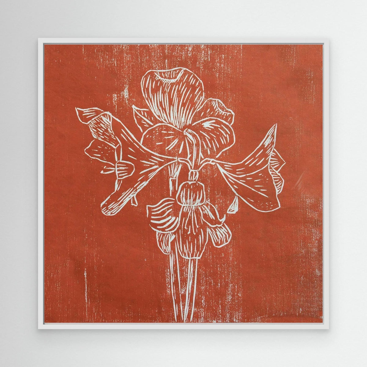 Canvas Print: " Red Amaryllis"