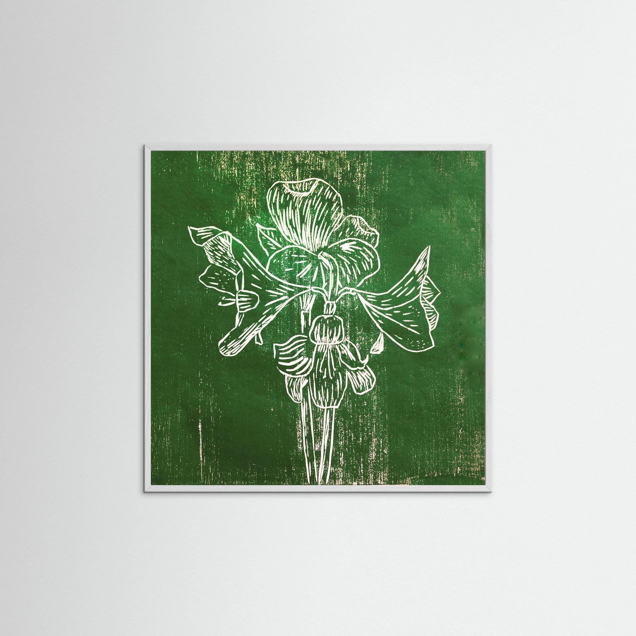 Fine Art Paper Print: "Green Amaryllis"