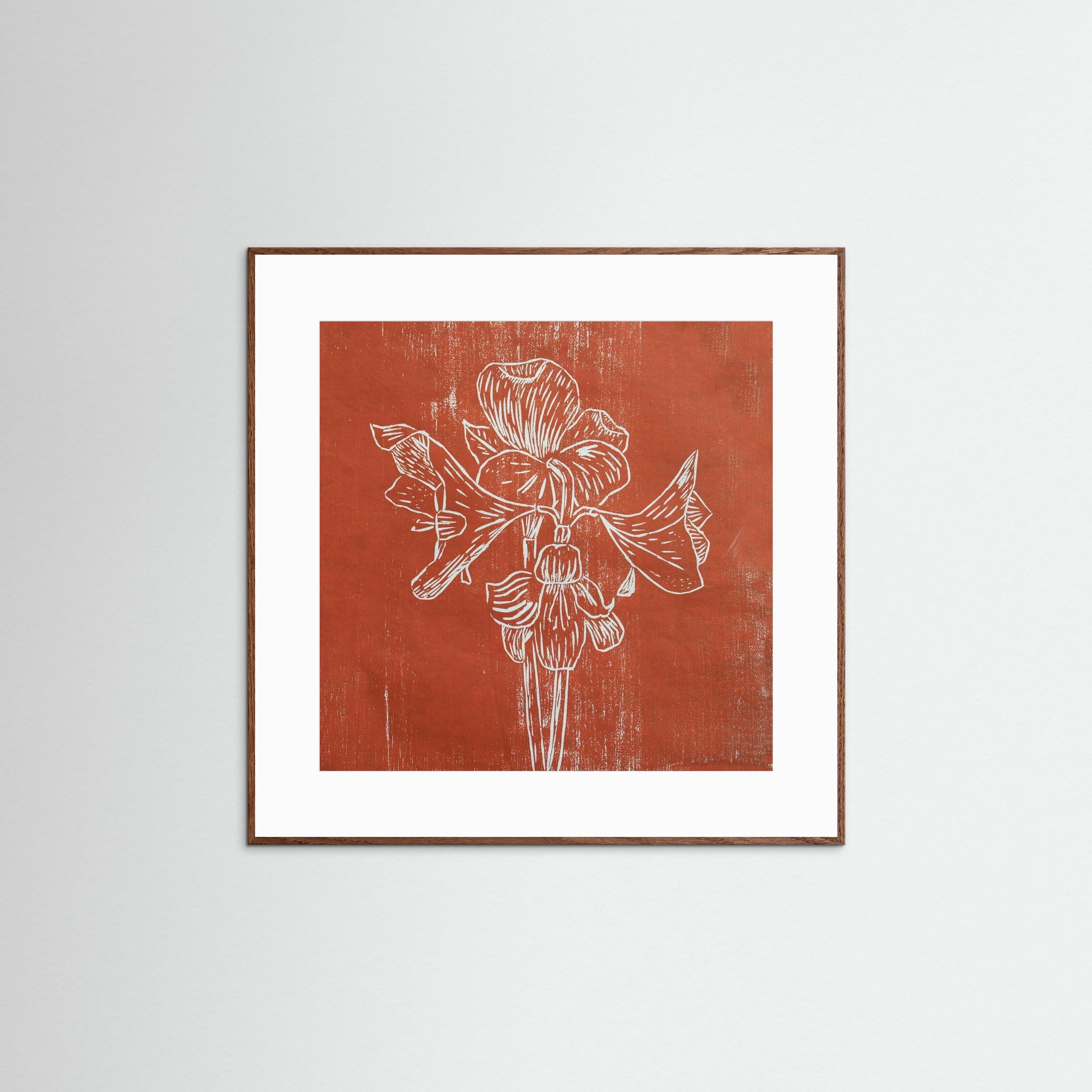 Fine Art Paper Print: "Red Amaryllis"