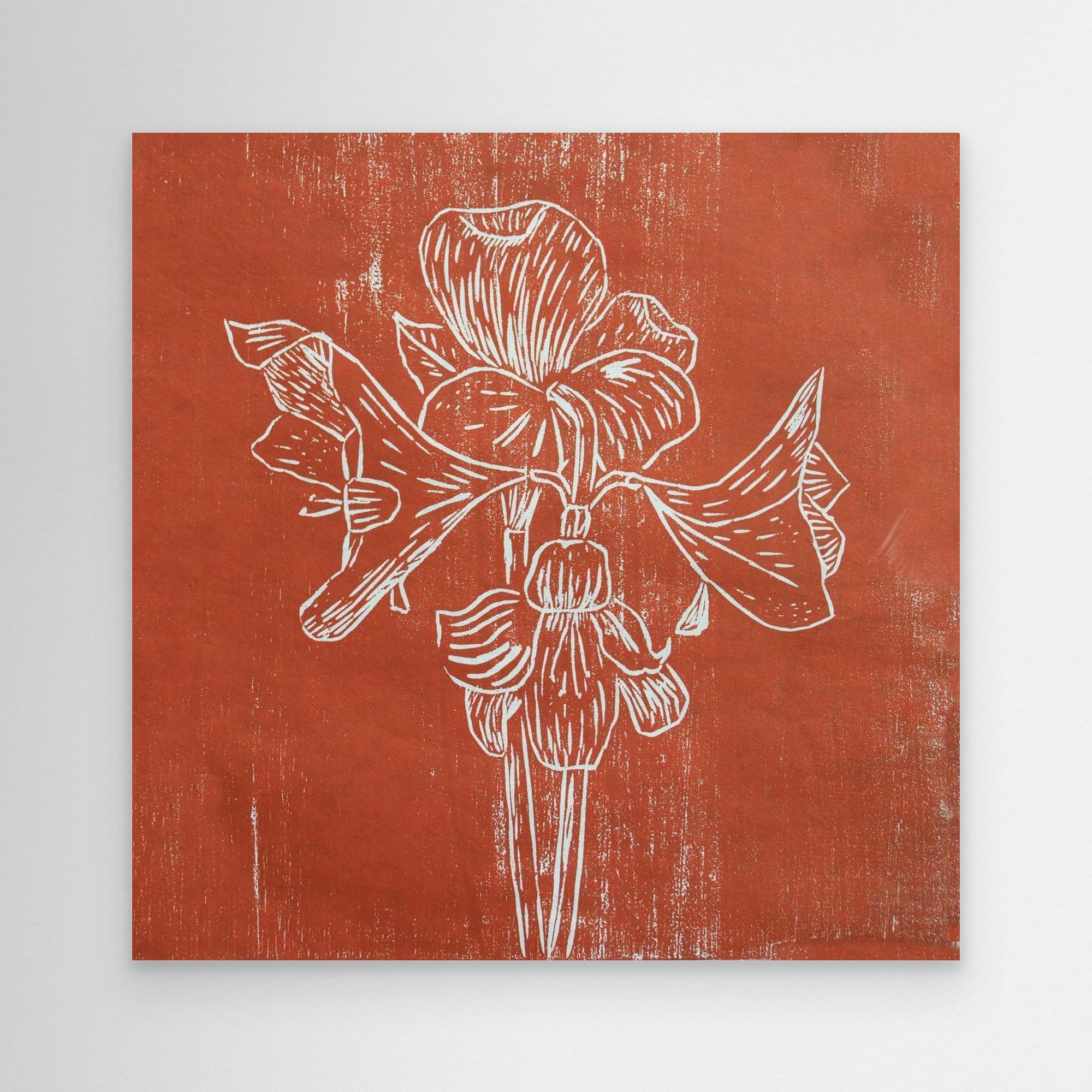 Canvas Print: " Red Amaryllis"
