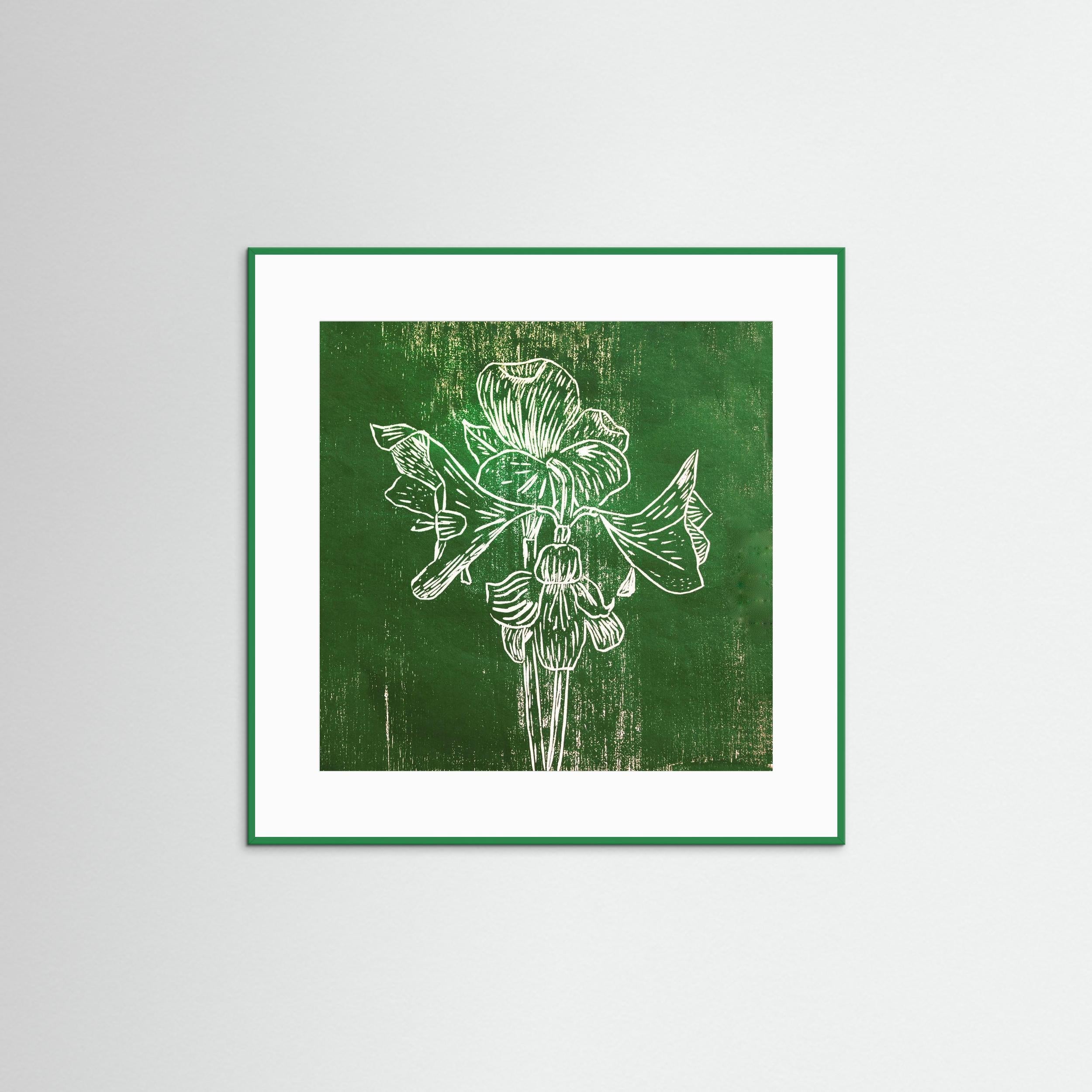 Fine Art Paper Print: "Green Amaryllis"