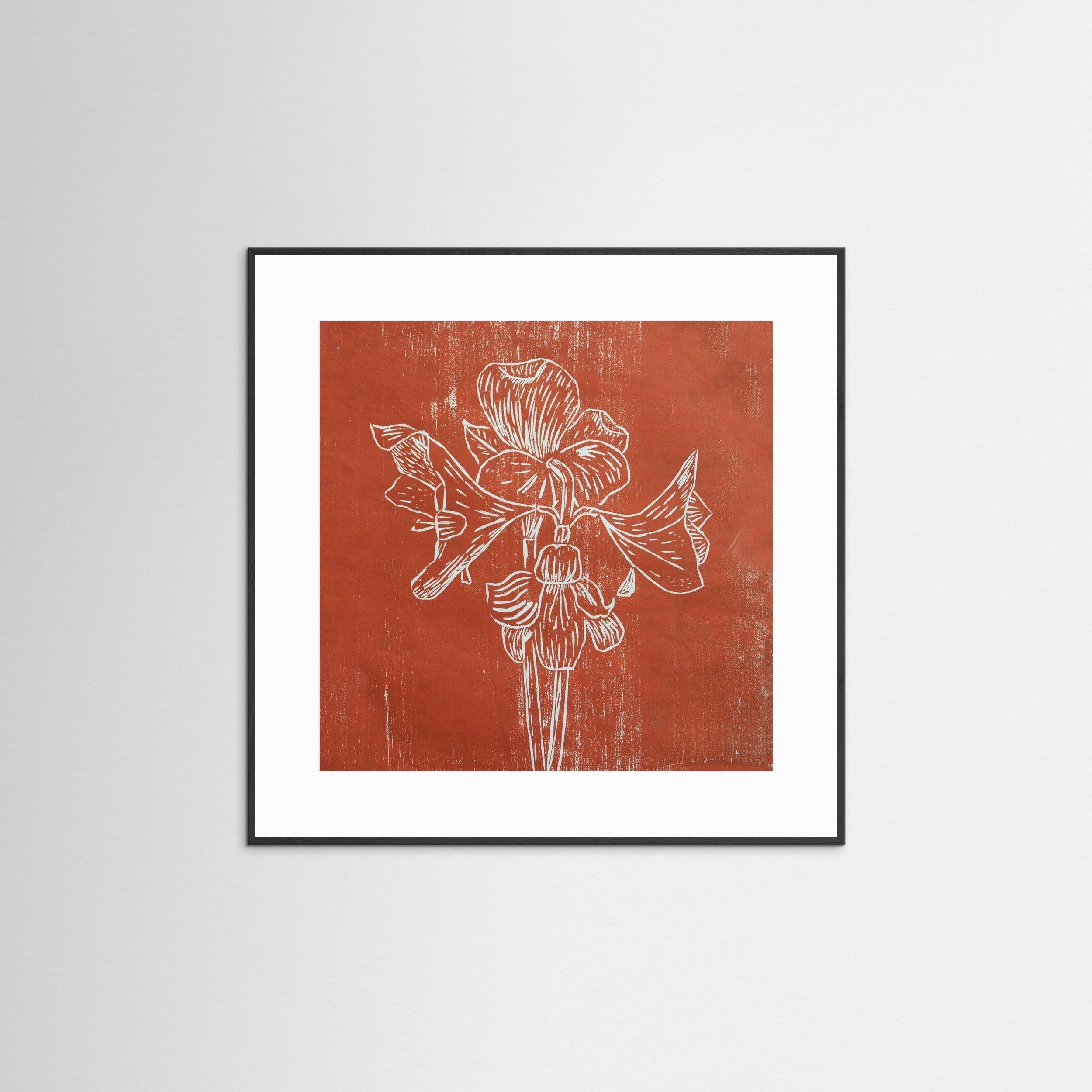 Fine Art Paper Print: "Red Amaryllis"
