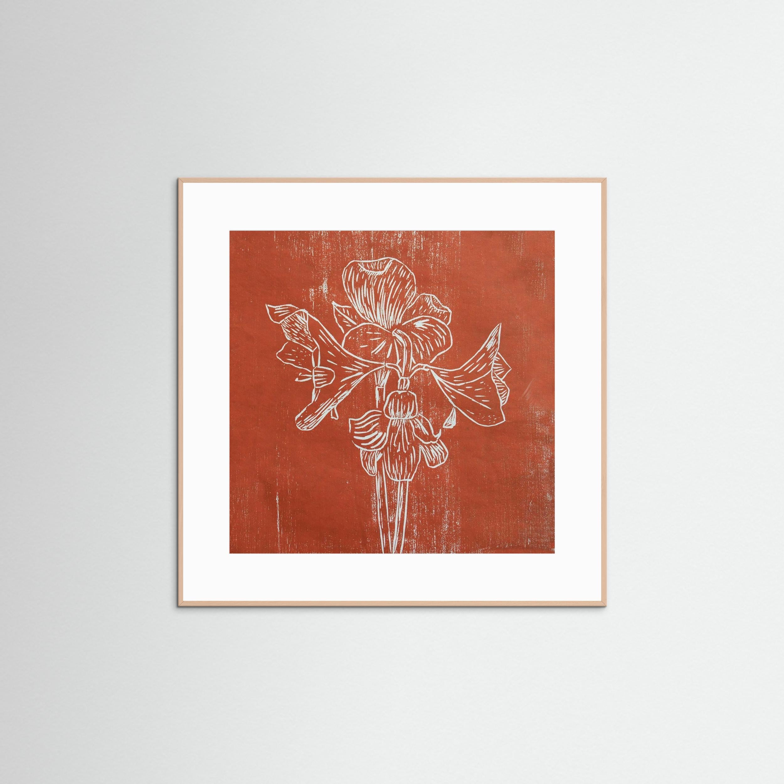 Fine Art Paper Print: "Red Amaryllis"