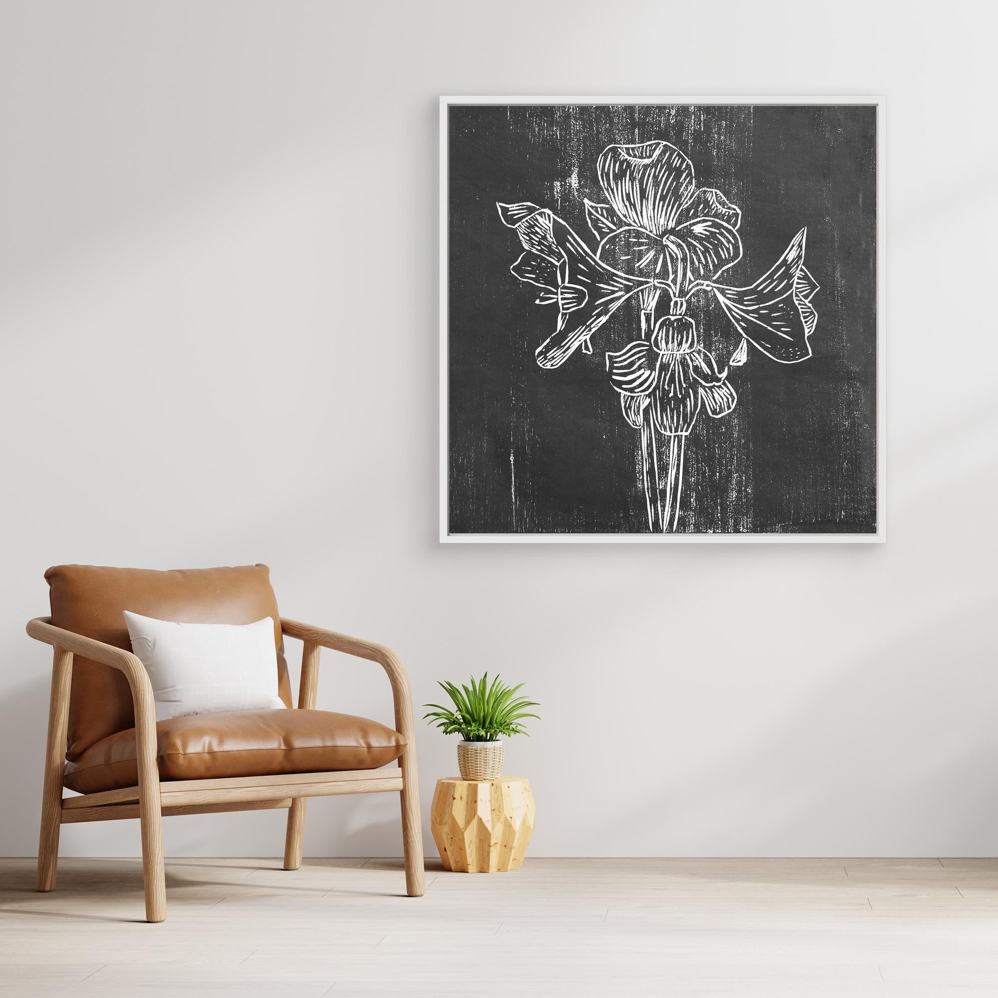 Canvas Print: "Black Amaryllis"