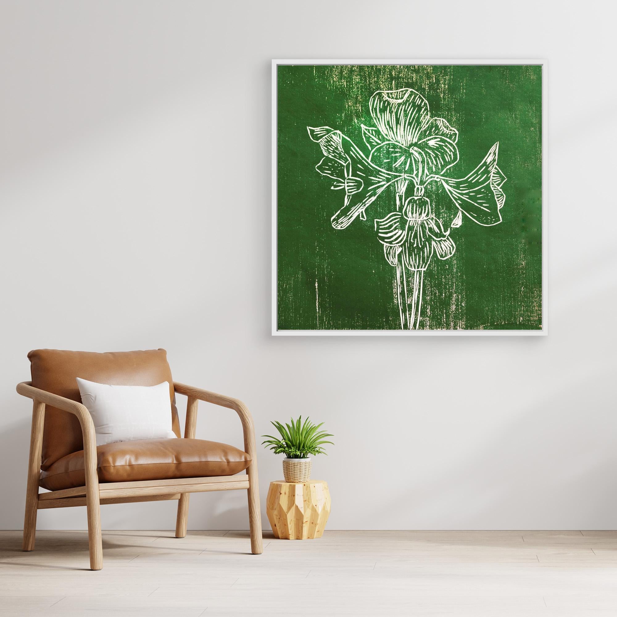 Canvas Print: "Green Amaryllis"