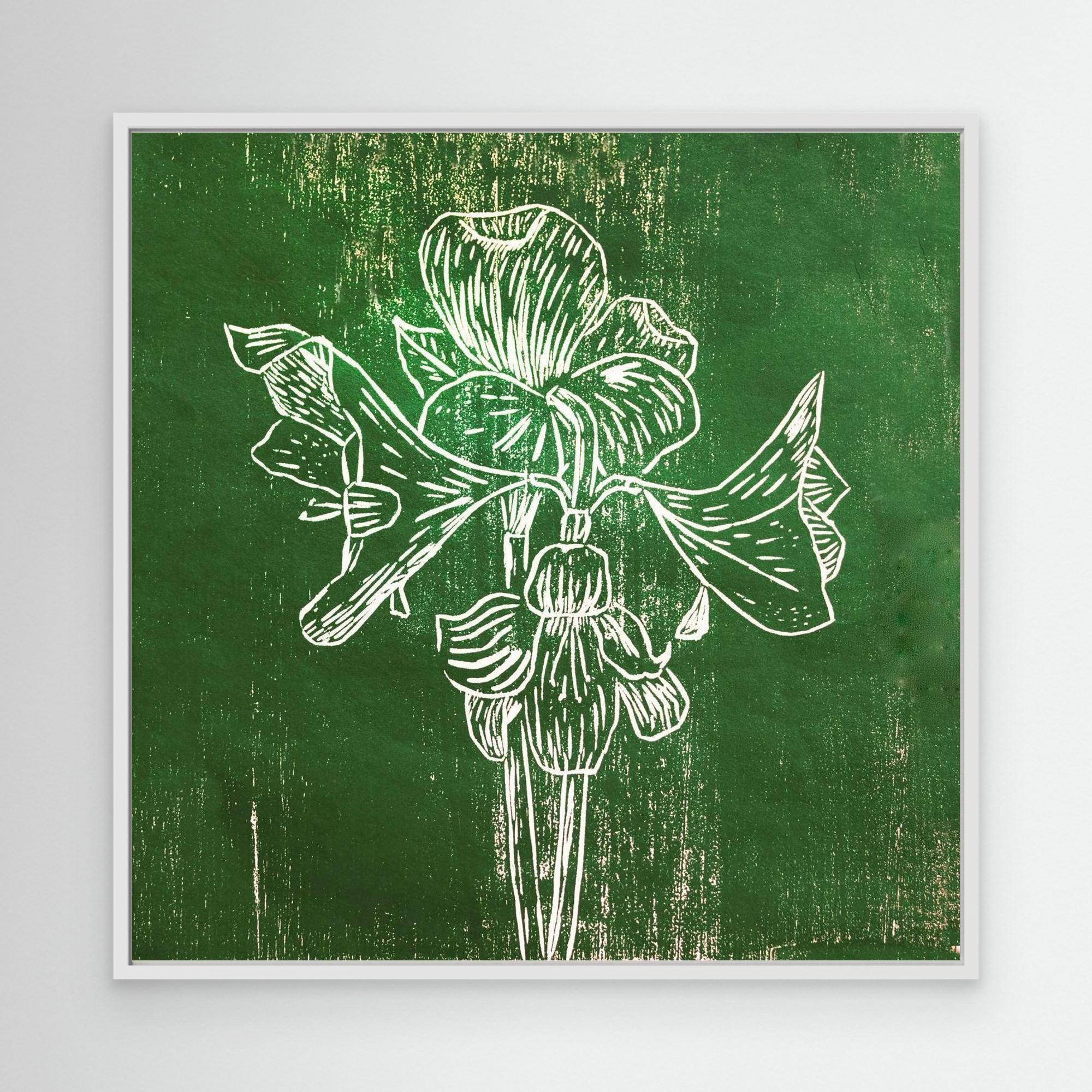 Canvas Print: "Green Amaryllis"