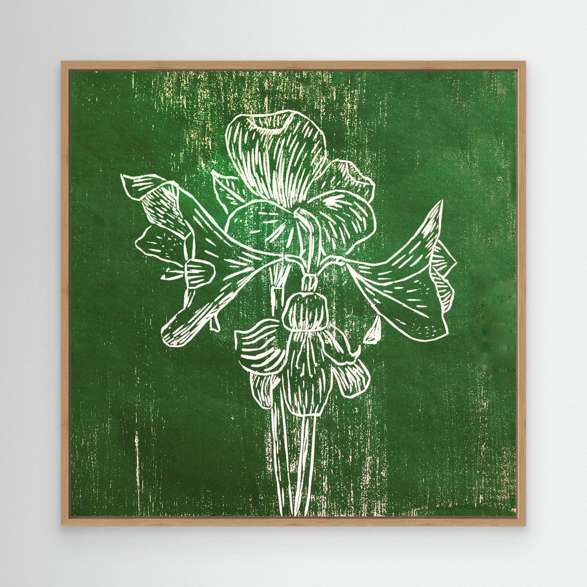 Canvas Print: "Green Amaryllis"
