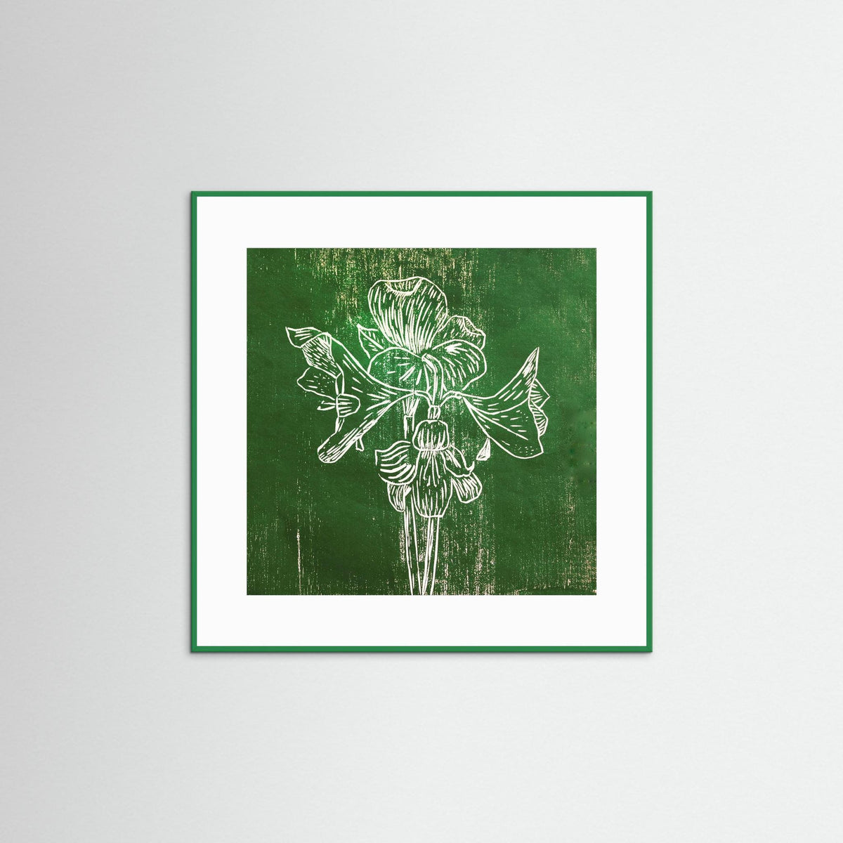 Fine Art Paper Print: "Green Amaryllis"