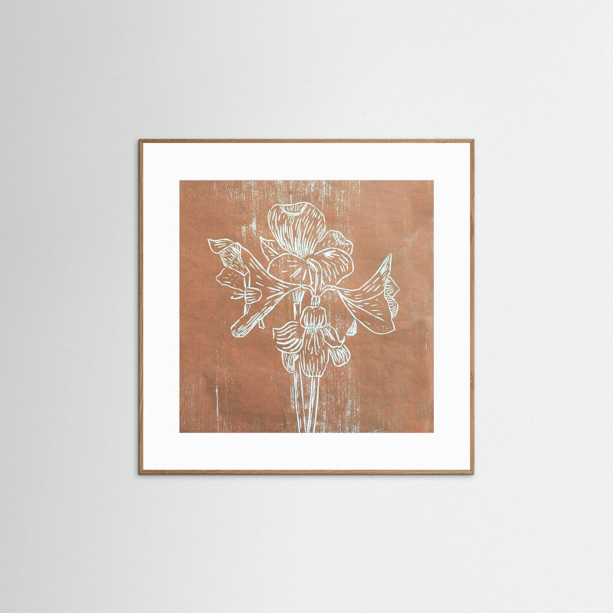 Fine Art Papaer Print: "Brown Amaryllis" 