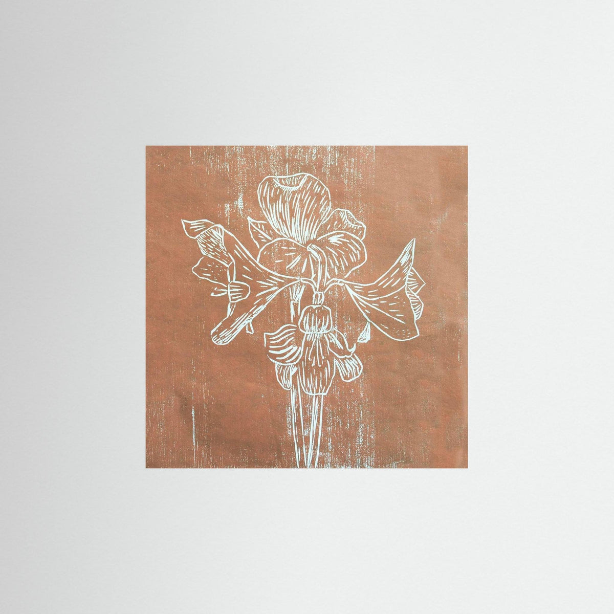 Fine Art Papaer Print: "Brown Amaryllis" 