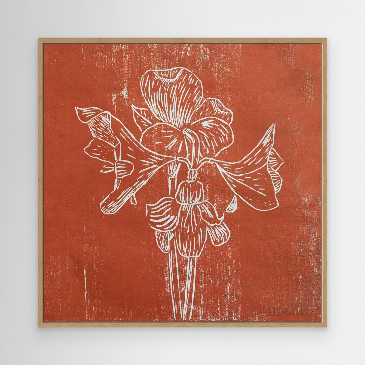 Canvas Print: " Red Amaryllis"