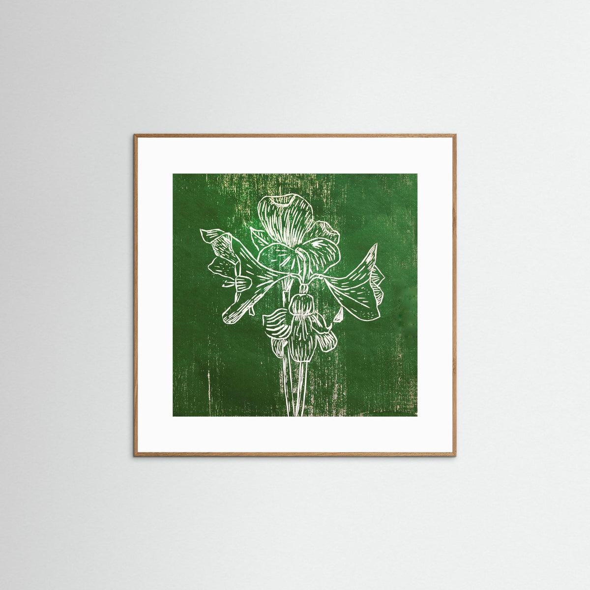 Fine Art Paper Print: "Green Amaryllis"
