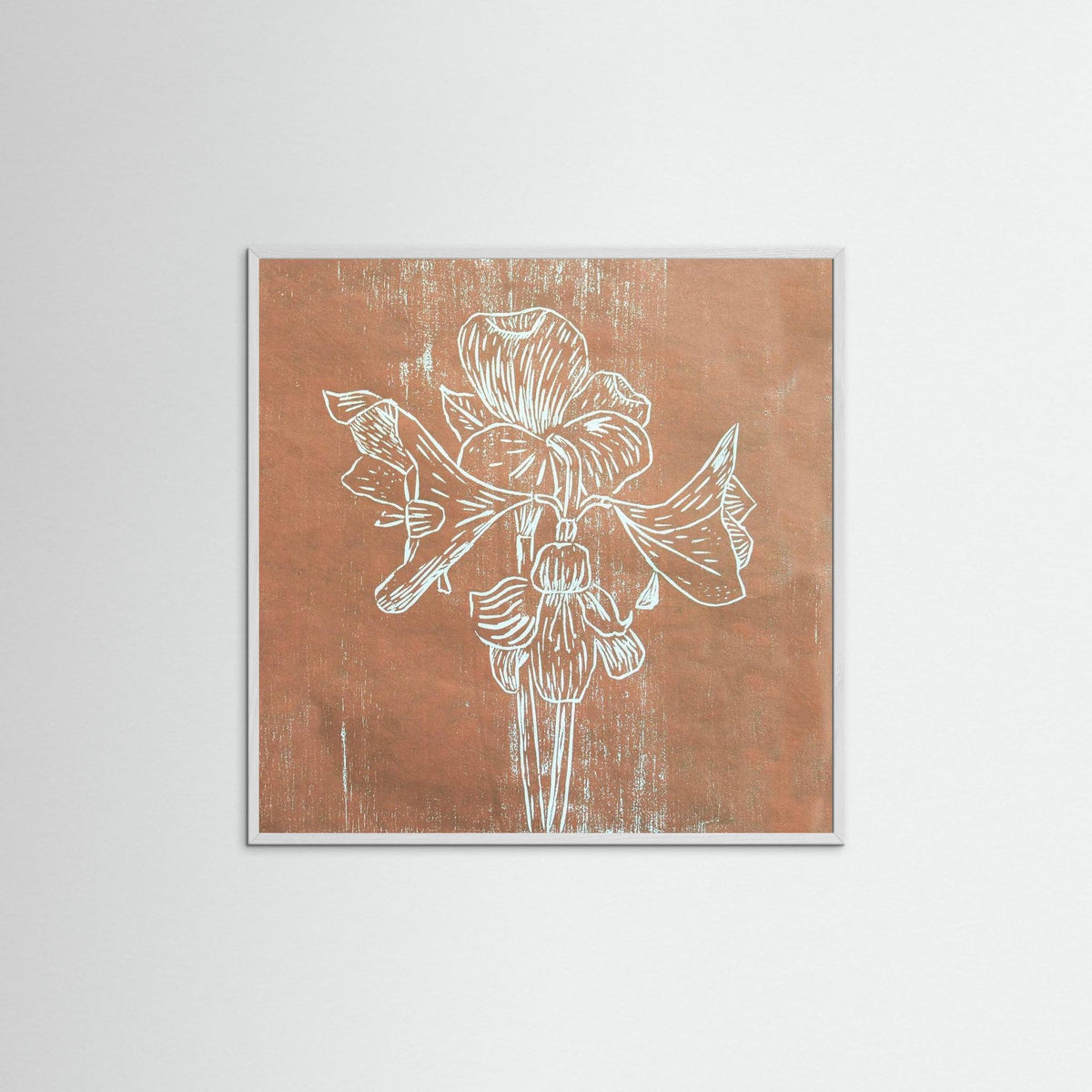 Fine Art Papaer Print: "Brown Amaryllis" 
