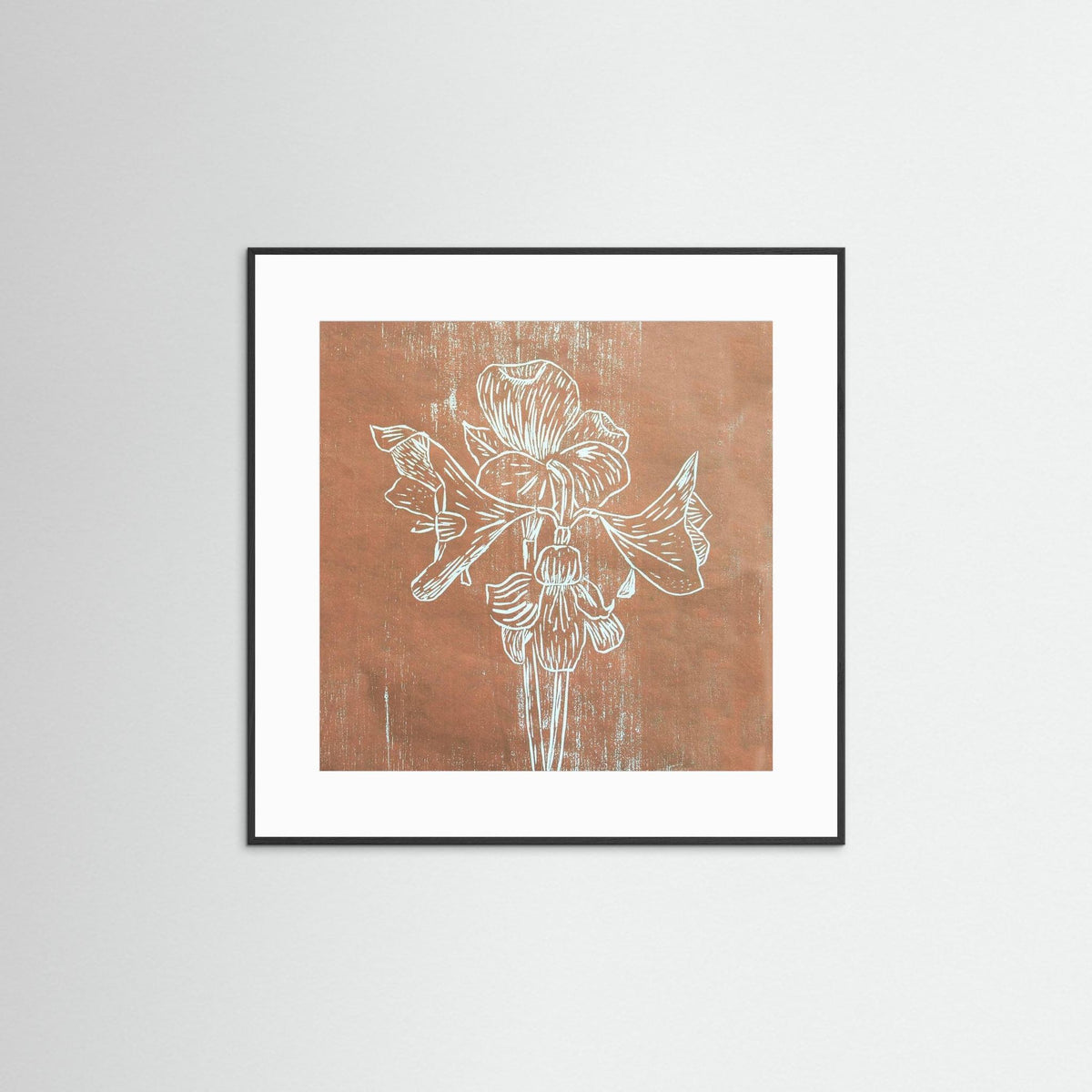 Fine Art Papaer Print: "Brown Amaryllis" 