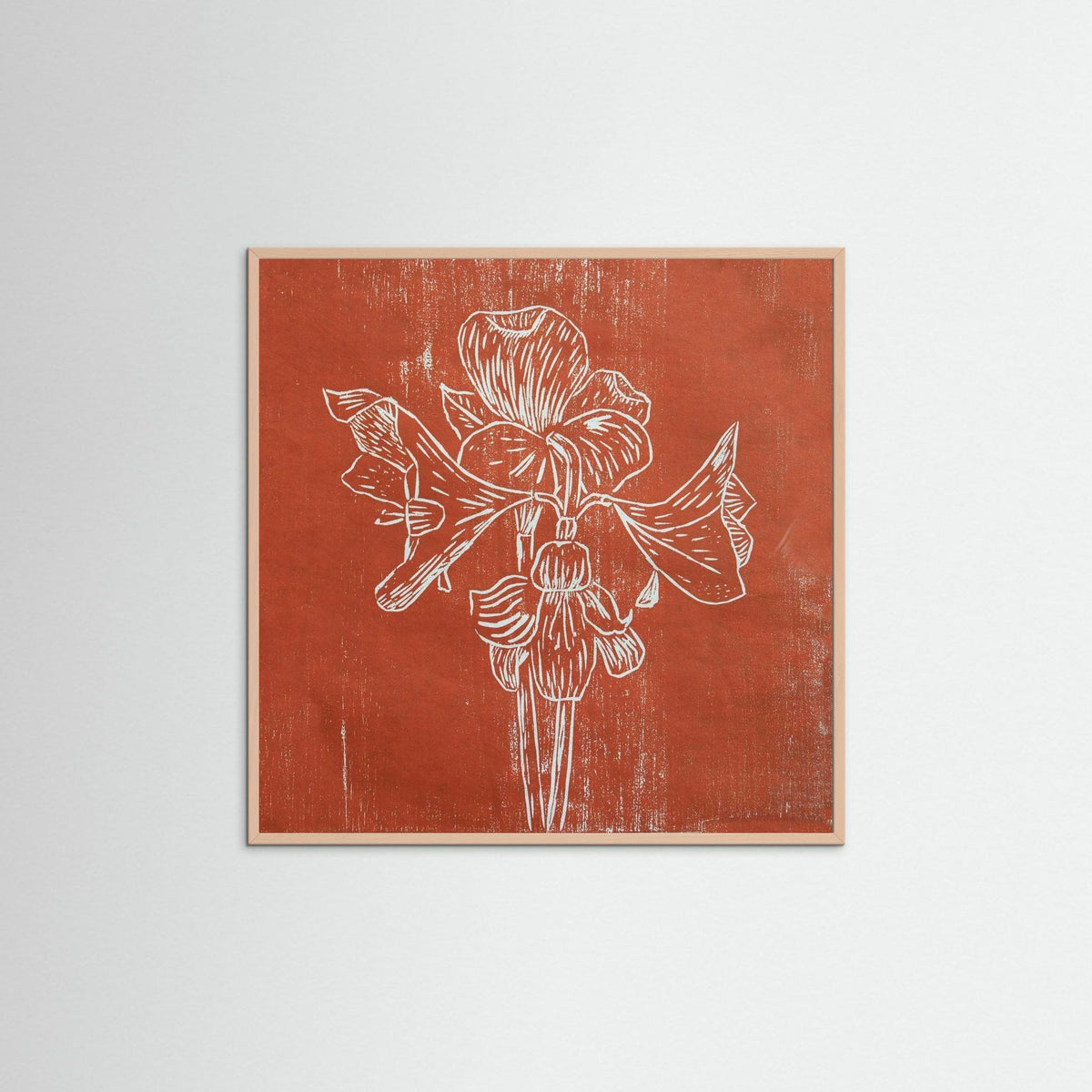 Fine Art Paper Print: "Red Amaryllis"