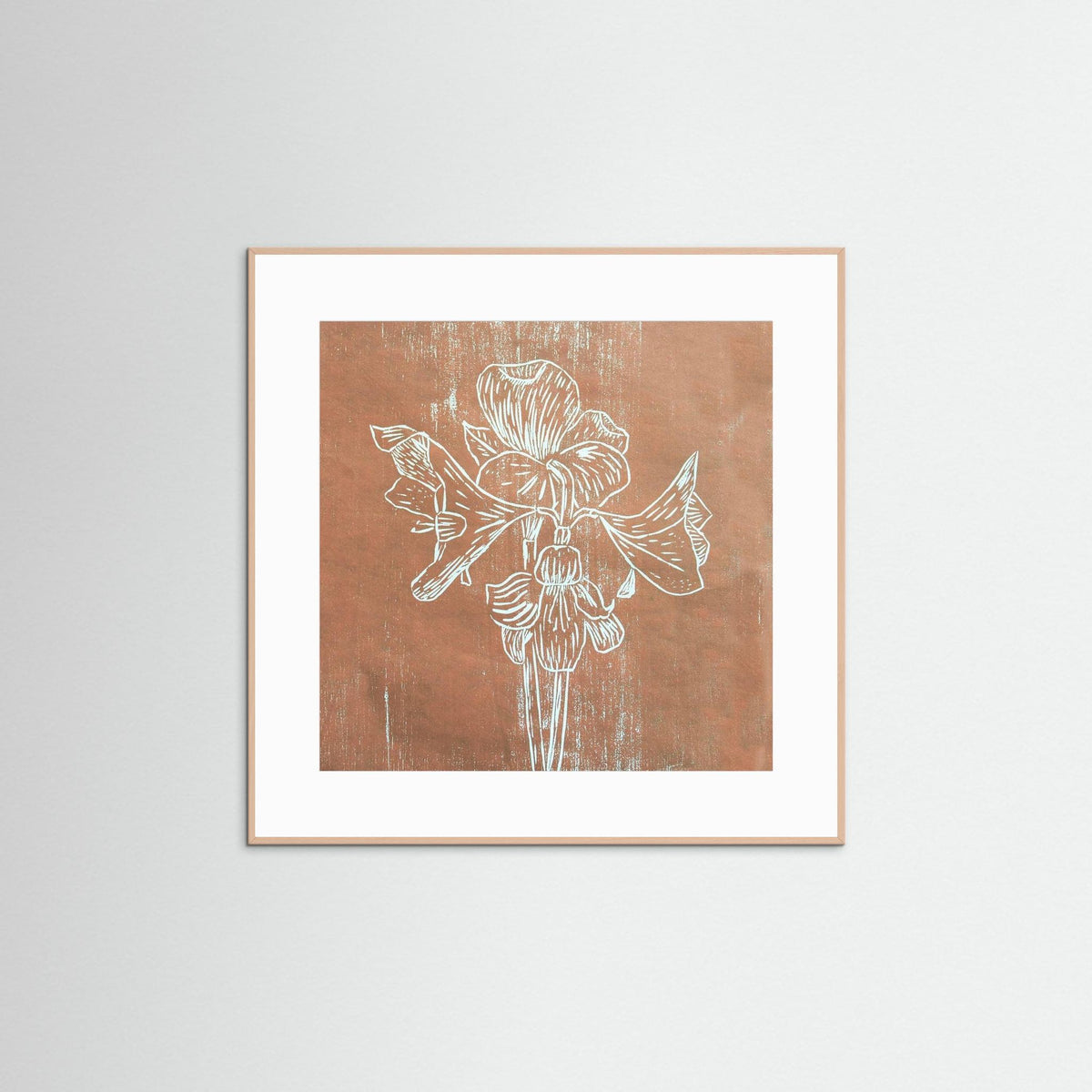 Fine Art Papaer Print: "Brown Amaryllis" 