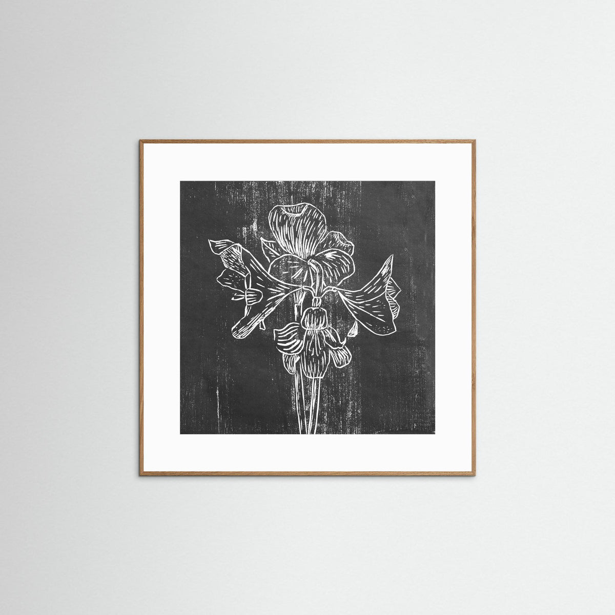 Fine Art Paper Print: "Black Amaryllis"
