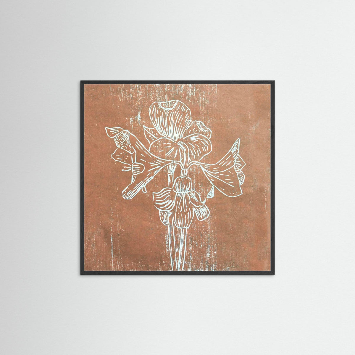 Fine Art Papaer Print: "Brown Amaryllis" 