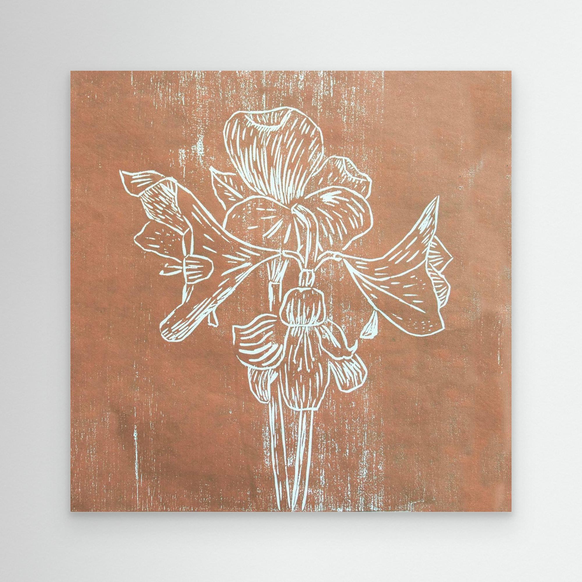 Canvas Print: "Brown Amaryllis"